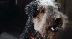 Câine din filmul aventuri electronice: visul copiilor sovietici